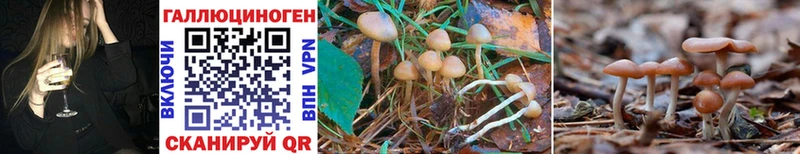 ссылка на мегу как зайти  как найти   Верхоянск  Псилоцибиновые грибы Magic Shrooms 